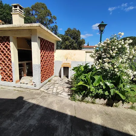 Climatisee Avec Grand Jardin, Animaux Admis - Fr-1-776-138 *