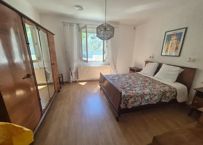 Climatisee Avec Grand Jardin, Animaux Admis - Fr-1-776-138 Palau-del-Vidre