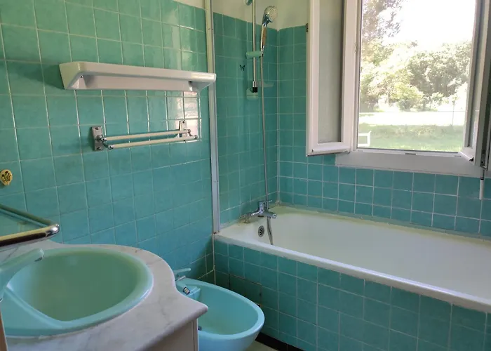 Vila Climatisee Avec Grand Jardin, Animaux Admis - Fr-1-776-138 *